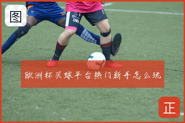 欧洲杯买球平台热门新手怎么玩