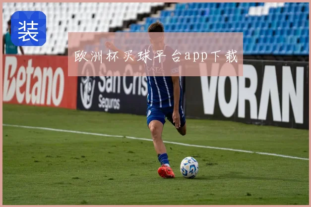 欧洲杯买球平台app下载