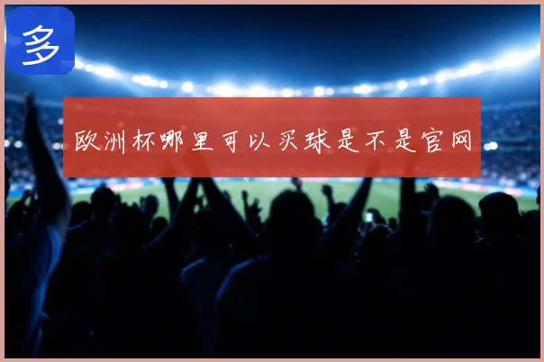 欧洲杯哪里可以买球是不是官网